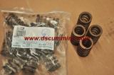 Valve Spring 4936080 for Cummins Engine Parts